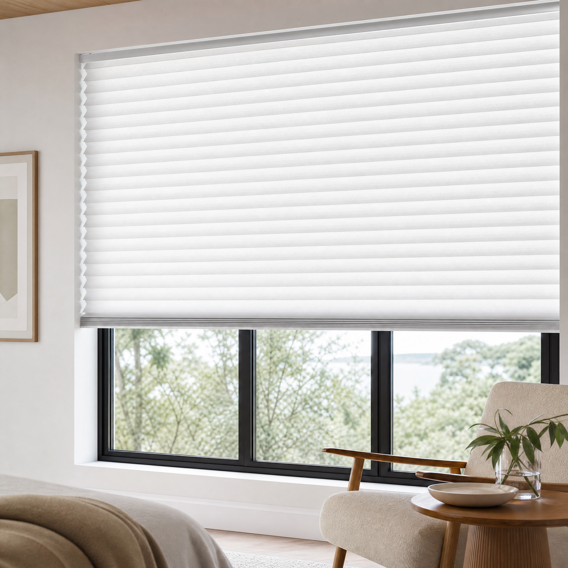 Honeycomb Cellular Blinds