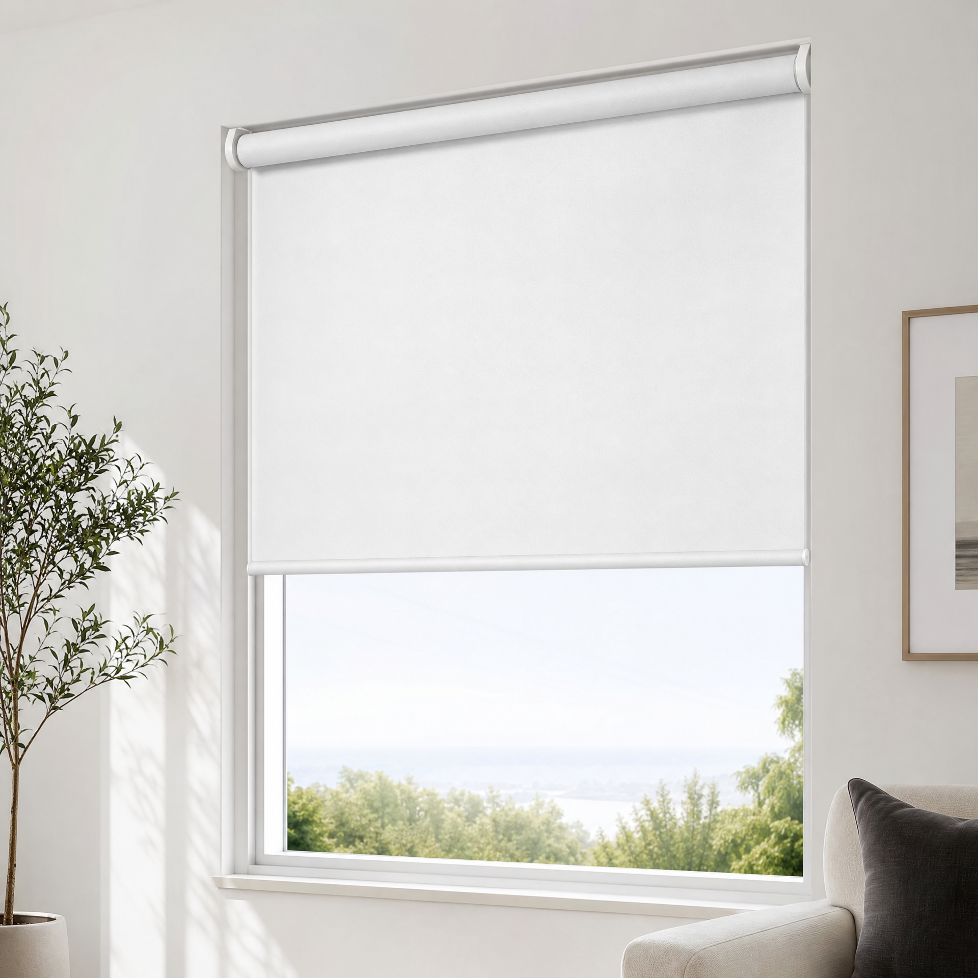 Roller Shades